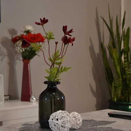 Kleeblatt Mit Eigener Terrasse Apartament *