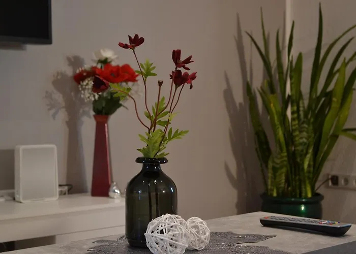 Kleeblatt Mit Eigener Terrasse Apartament *